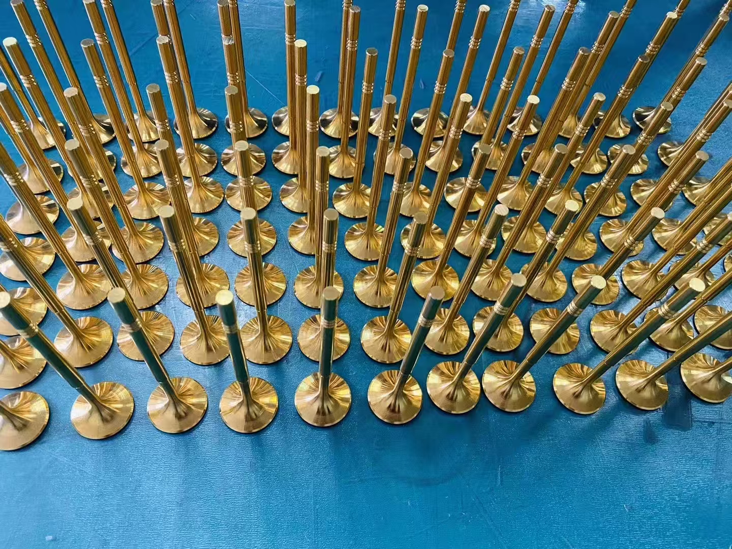 1742956182795382.jpg TiN (3).jpg